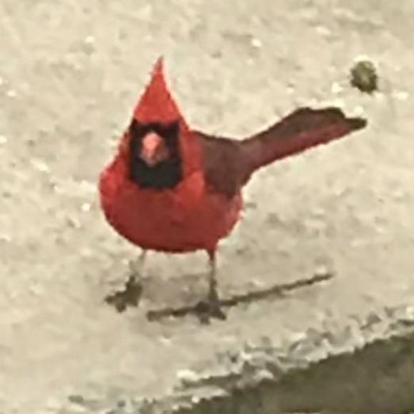 Meet your Posher, Jane - Picture 1 of 1